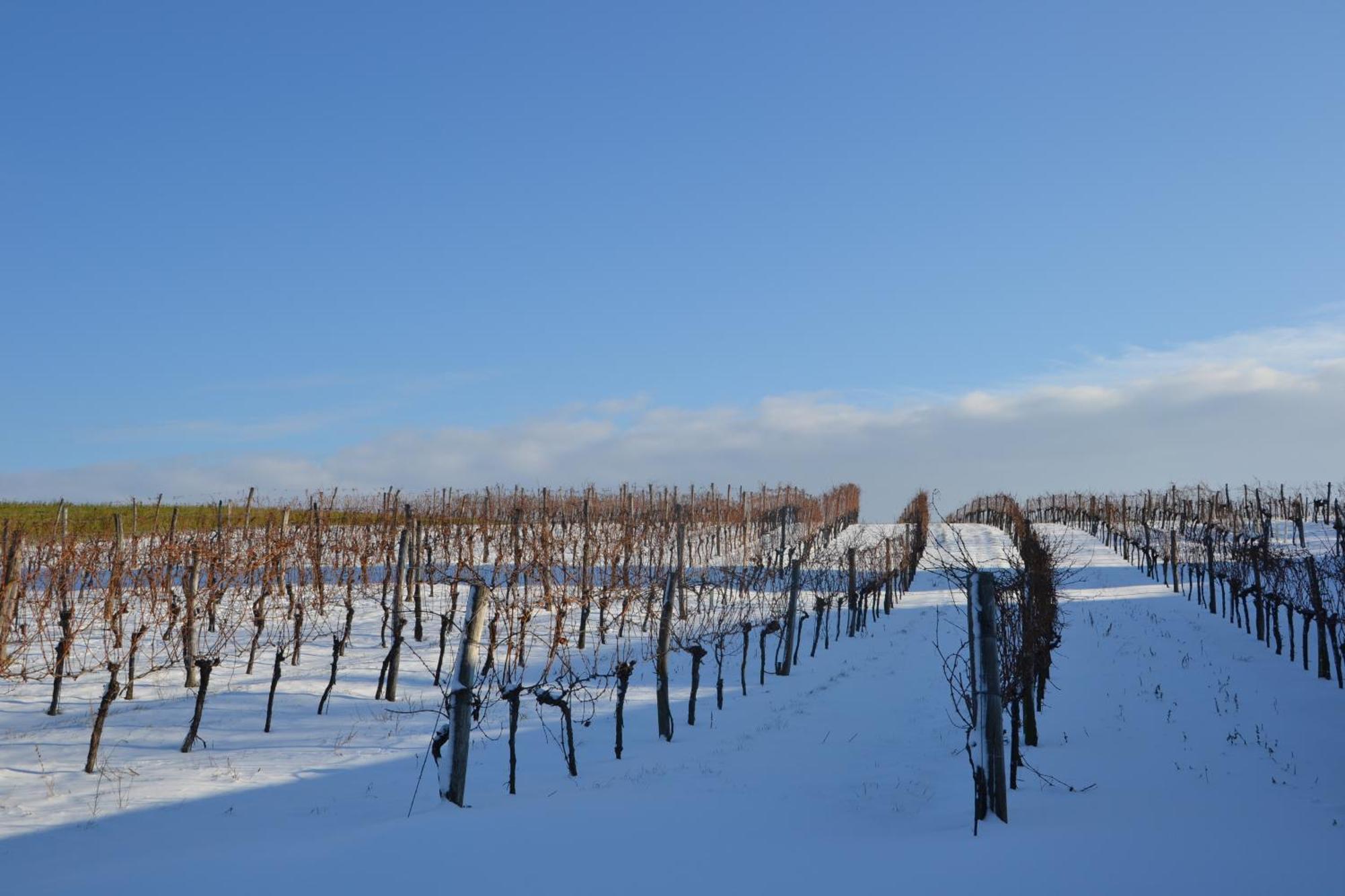 Wein + Bett Wiedeck Stetten Luaran gambar